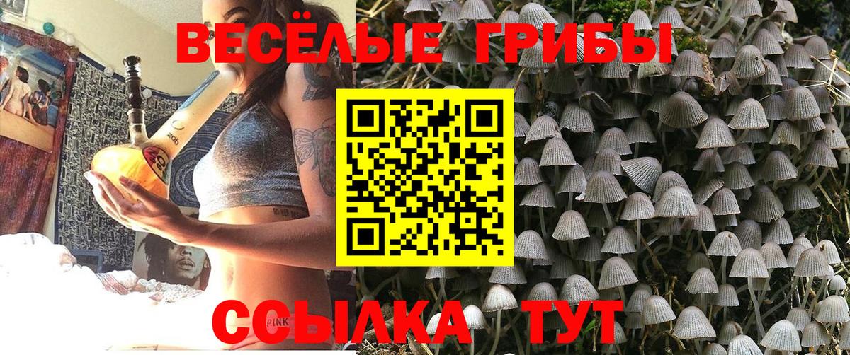 сколько стоит  Добрянка  Галлюциногенные грибы мицелий 