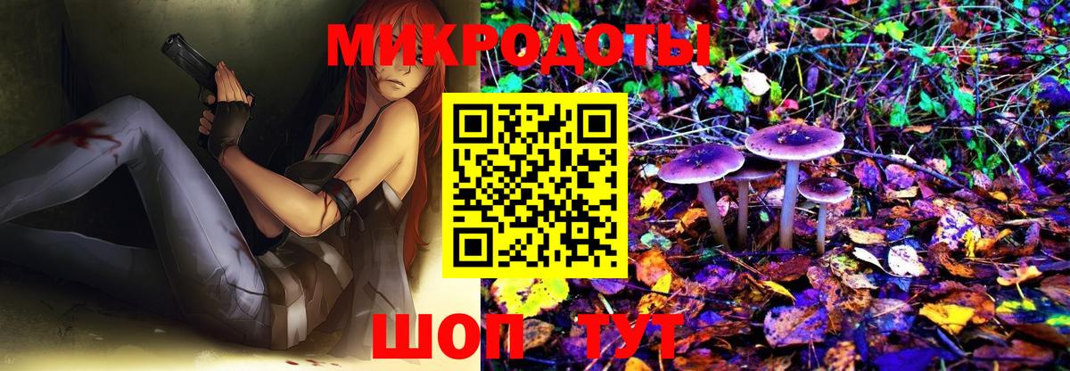 Галлюциногенные грибы ЛСД Добрянка