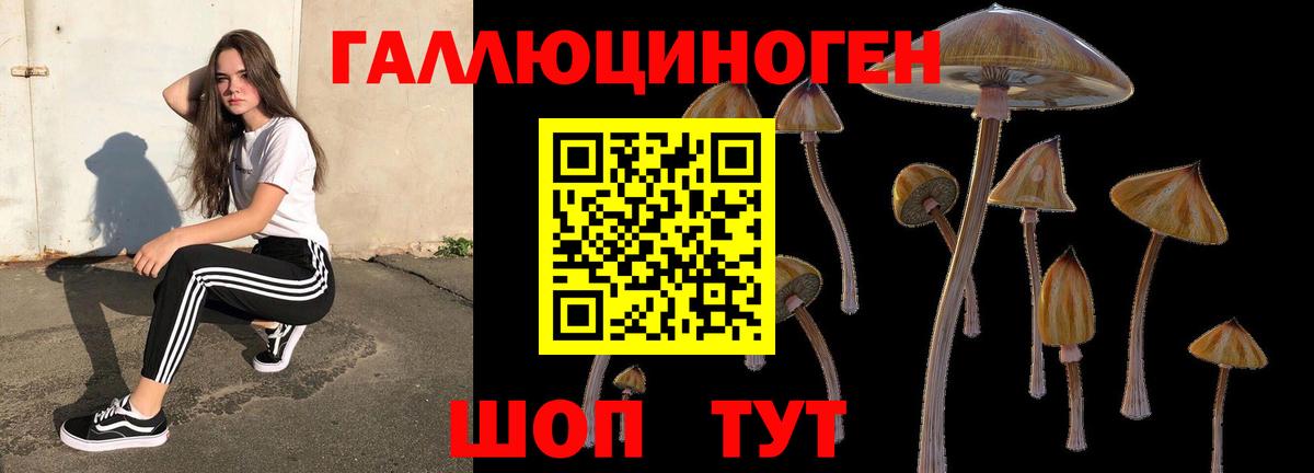 Галлюциногенные грибы прущие грибы Добрянка
